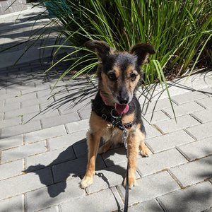 Meet your Posher, Alvita